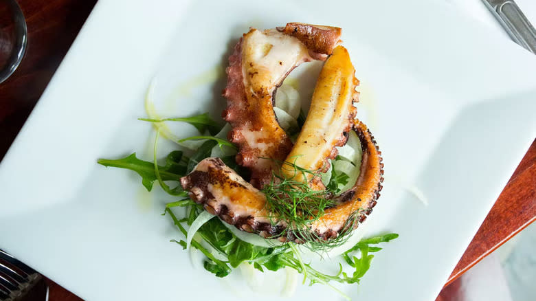 a squid dish