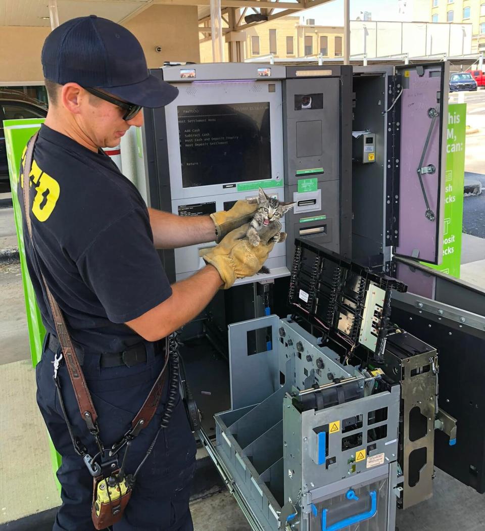 Arkansas Firefighters Rescue Cat From ATM, Name Him Cash