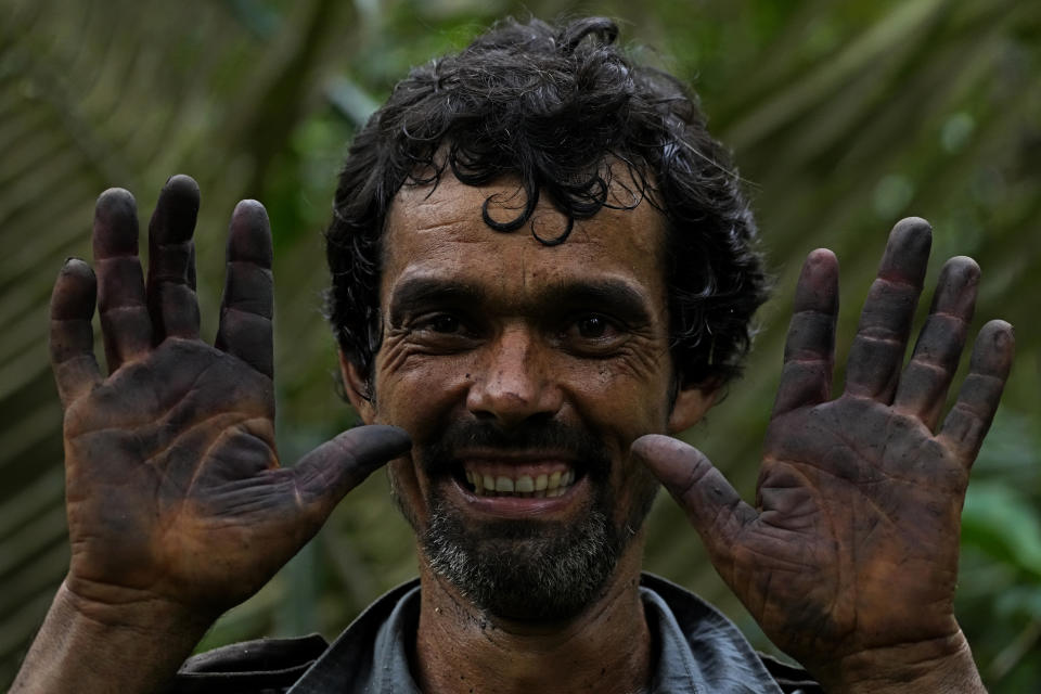 Edson Polinario holds up his hands dyed blue after handling Acai fruit berries in the forest of a rural area of his property in the municipality of Nova California, state of Rondonia, Brazil, Thursday, May 25, 2023. (AP Photo/Eraldo Peres)