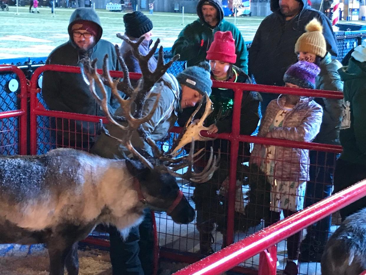 Brie Kleer, of Kleerview Farm near Bellville, guides 7-year-old reindeer Crystal toward guests seeking a chance to pet the animal. Reindeer were part of the fun during the Holiday Kickoff on Saturday at Tom Benson Hall of Fame Stadium. Hendrickson and Hall of Fame Resort & Entertainment Co. presented the event.