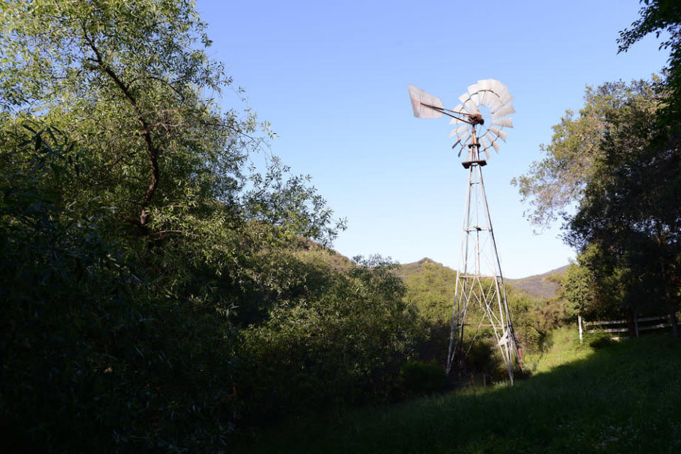 Bucolic landscape