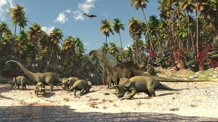 <span>Dinosaurs flourished in a hothouse world of swamps and rainforest - but they had millions of years to evolve alongside it.</span><span><a class="link " href="https://www.shutterstock.com/image-illustration/dinosaurs-jurassic-park-112635275?src=UDaSDxYN-vFklhPlpbF1pw-1-1" rel="nofollow noopener" target="_blank" data-ylk="slk:Shutterstock;elm:context_link;itc:0;sec:content-canvas">Shutterstock</a></span>