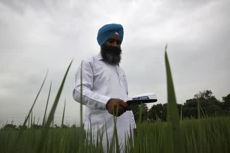 Harpreet Singh, 36, a farmer, measures nitrogen level using a device called Greenseeker in his paddy field in Birnaraya village in Karnal district in Haryana September 2, 2014. REUTERS/Thomson Reuters Foundation/Nita Bhalla