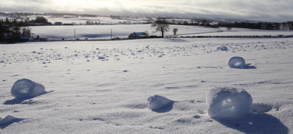 Un campo repleto de estos raros rollos de nieve fue visto en Glassford, South Lanarkshire, el martes (SWNS).