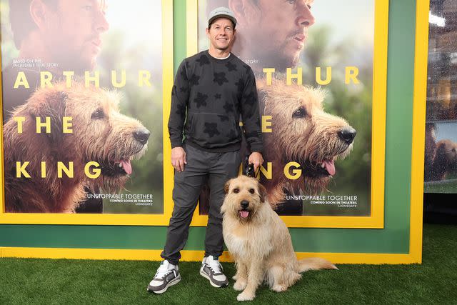 <p>Monica Schipper/Getty </p> Mark Wahlberg and his <em>Arthur the King</em> costar Ukai