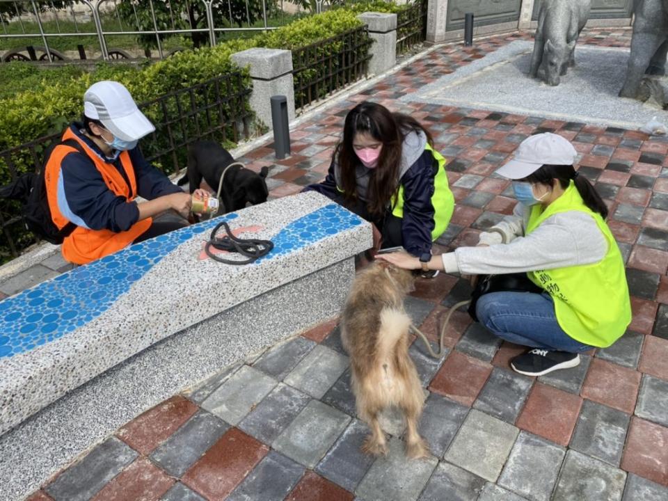 經特殊訓練、授證後的動保志工將享有保險，讓服務時更安心。（記者彭新茹翻攝）