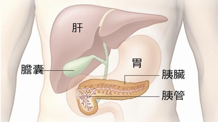 胰臟癌首次擠進十大癌症排行榜。（圖／資料畫面）