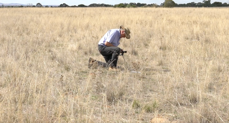 A man looking for dragons at an undisclosed property in Victoria.