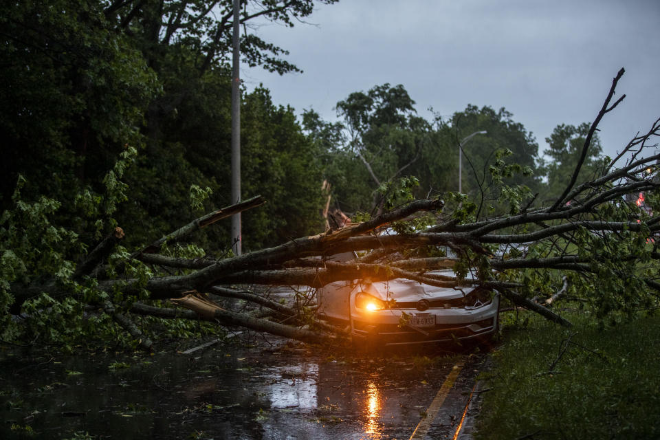 A vehicle is crushed by a fallen tree on N Great Neck Road in Virginia Beach, Va., on Sunday, April 30, 2023 as a result of a strong storm that ripped through the area. (Kendall Warner/The Virginian-Pilot via AP)