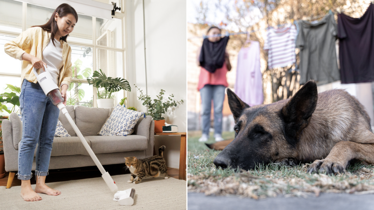 Female helper vacuuming with cat on floor (left) and helper in background hanging clothes while dog rests on grass (Photos: Getty Images)