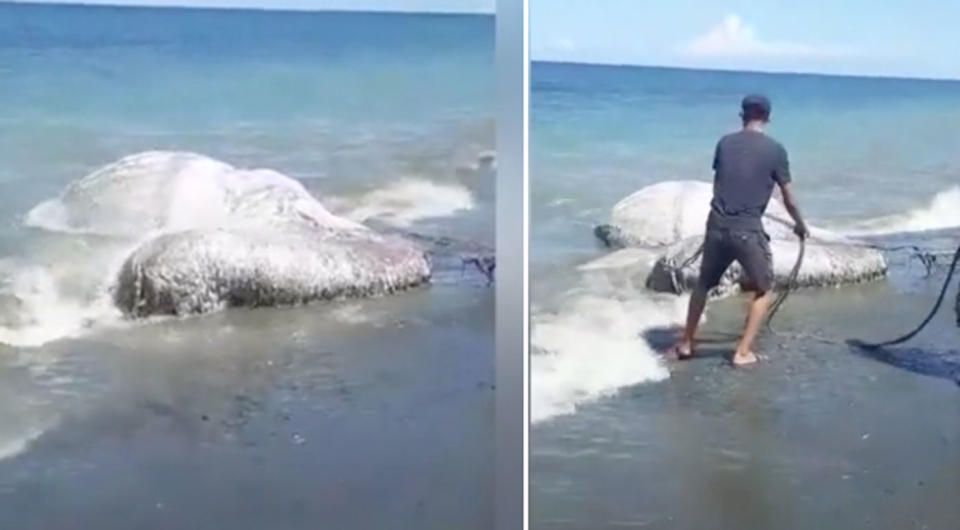 The enormous hairy blob surfaced and sparked panic from villagers. Photo: Newsflare