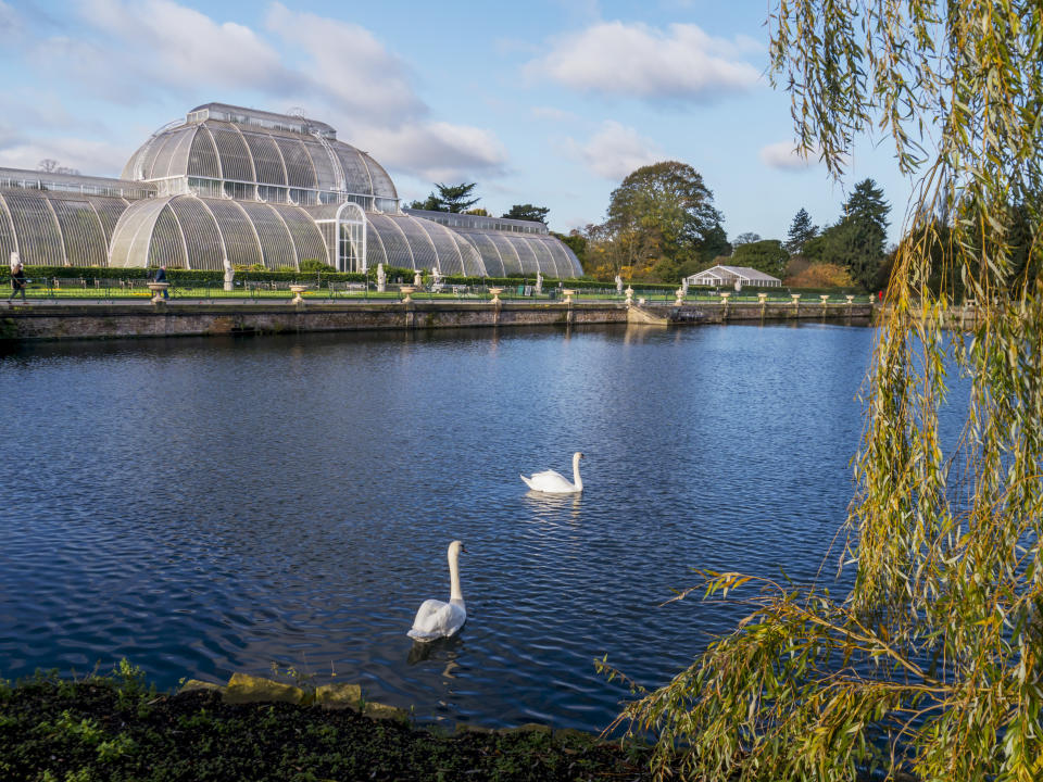 Kew Gardens Palm House. 