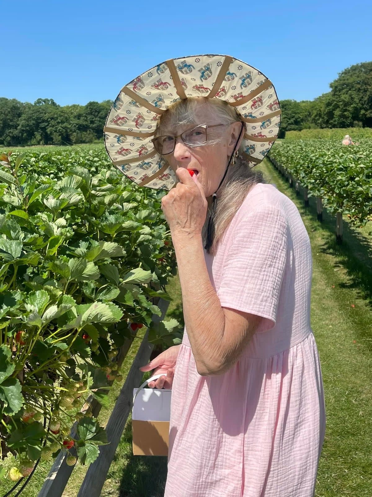 Sharon picking strawberries (Provided)