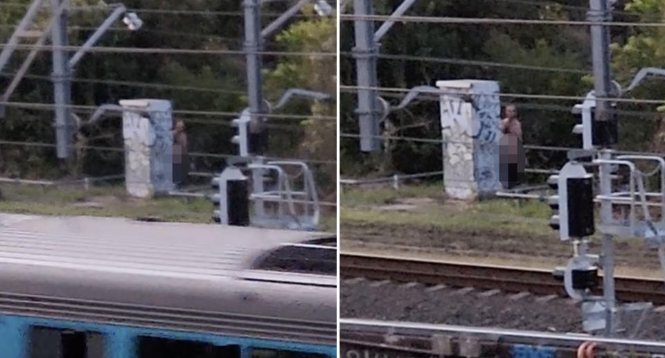 A naked man hides behind an electricity box near Sydney's Wolli Creek train station
