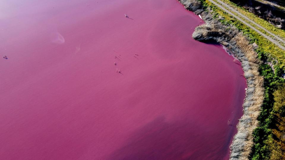 An aerial view of a pink lagoon