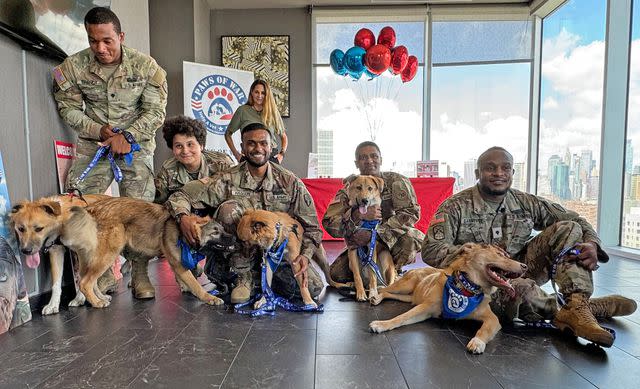 <p>Courtesy of Paws of War</p> Soldiers reunited with the stray animals they rescued while being deployed in the Middle East