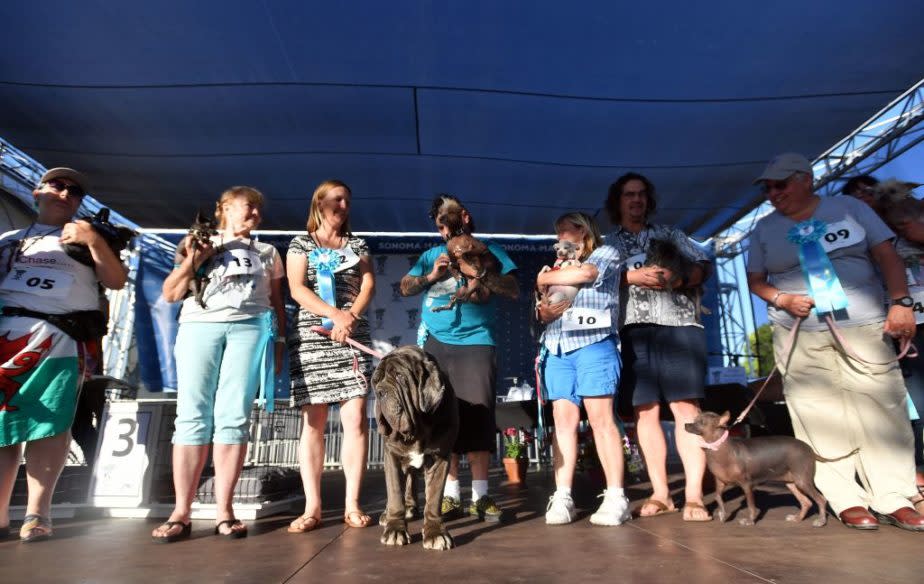 The world’s “ugliest dog” is actually super adorable