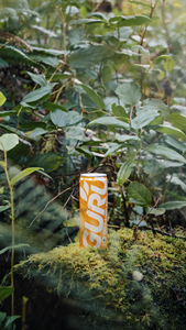 GURU brings GOOD ENERGY with GURU Guayusa Tropical Punch