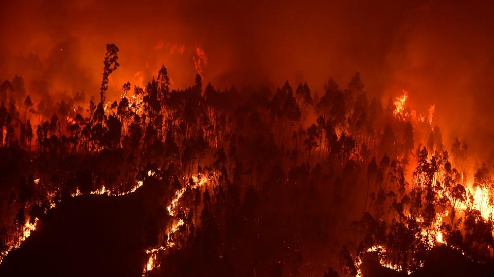 Incendio forestal