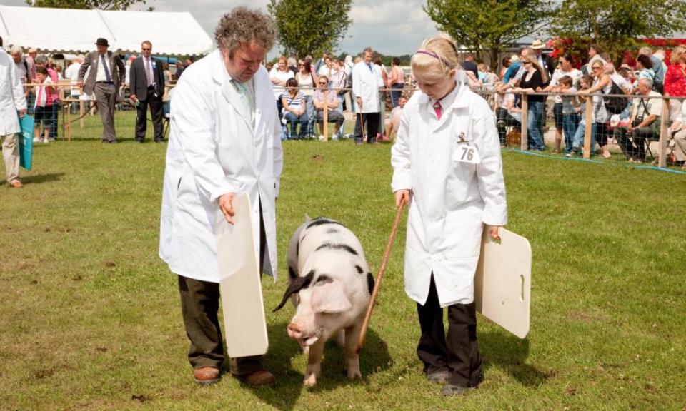 Pig judging at Driffield Show.