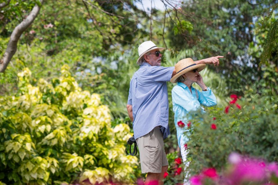 Martin Riepma, Wellington, points out a flower to his wife, Anne, while the two visit visit Mounts Botanical Garden on Friday, April 21, 2023, in West Palm Beach, Fla.