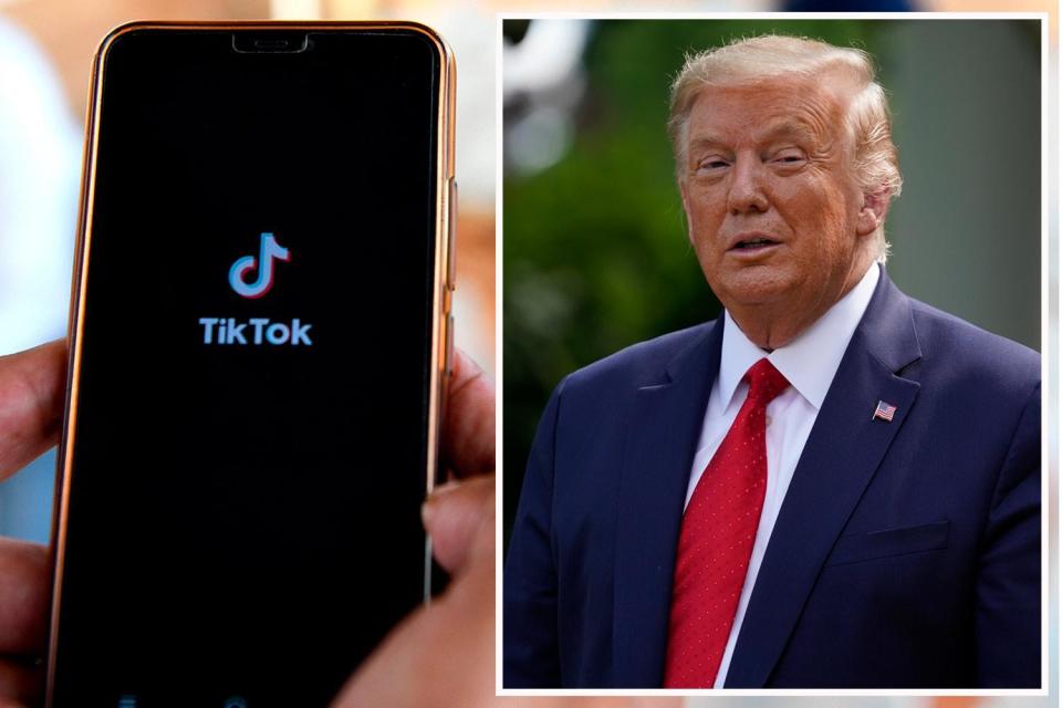 President Trump wants to ban the video-based social media app