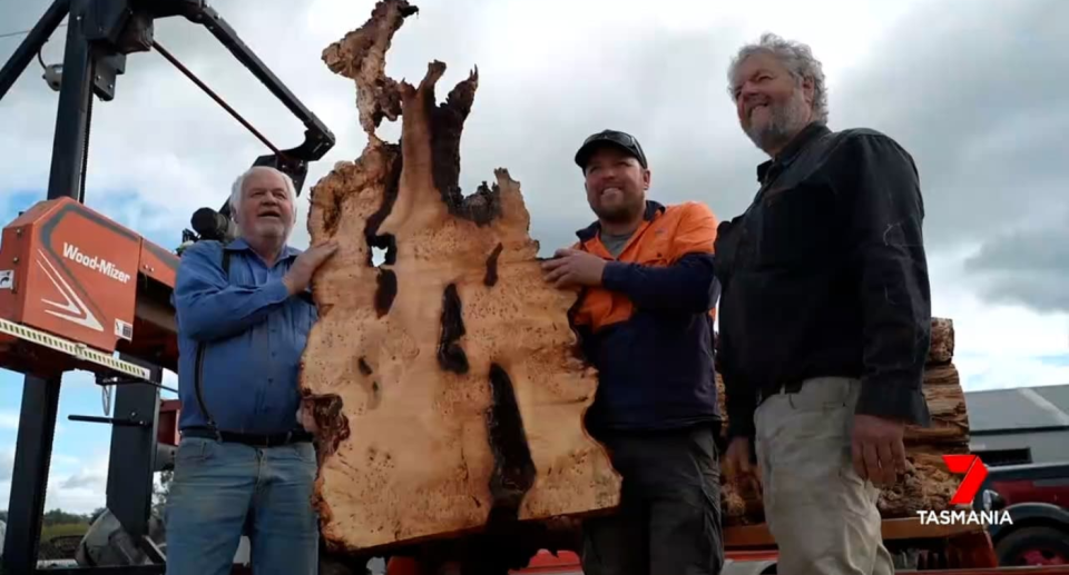 Image of part of the Huon pine log being held up.