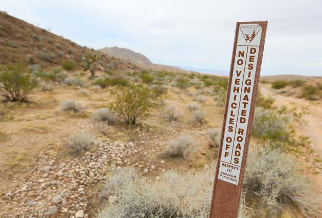 A Bureau of Land Management sign stands near a designated road in Gold Butte, Nevada.