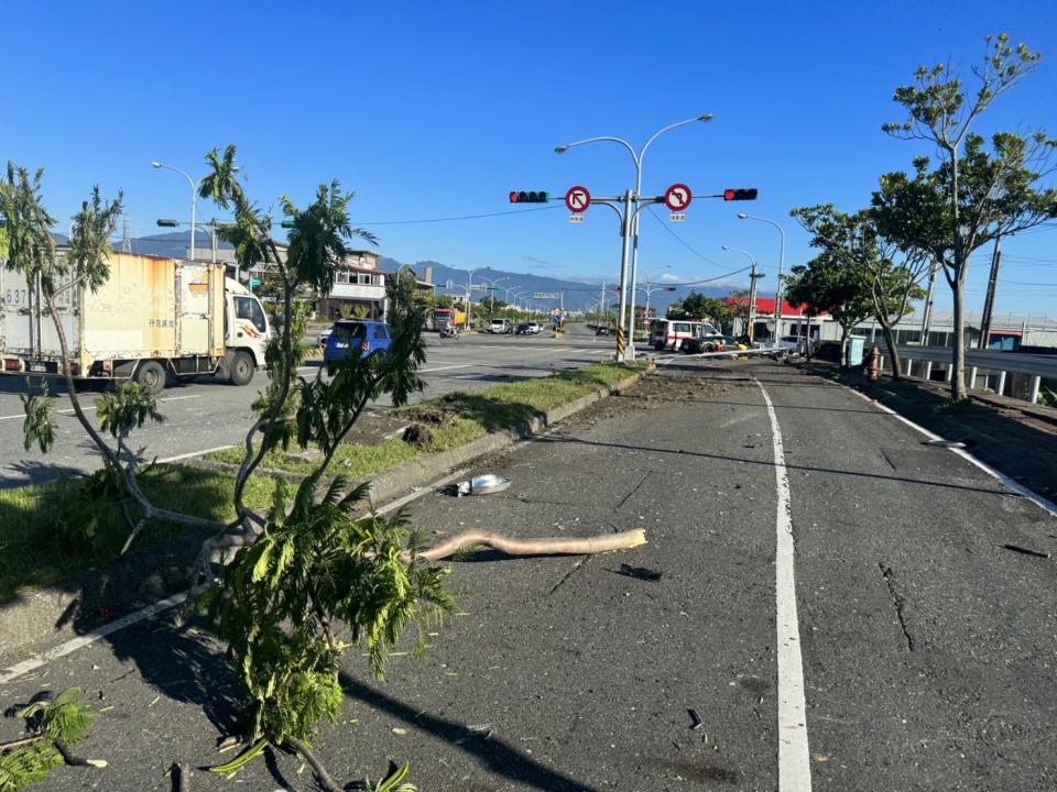 <strong>多棵路樹也被法拉利撞斷，連泥土都被鏟起。（圖／翻攝畫面）</strong>