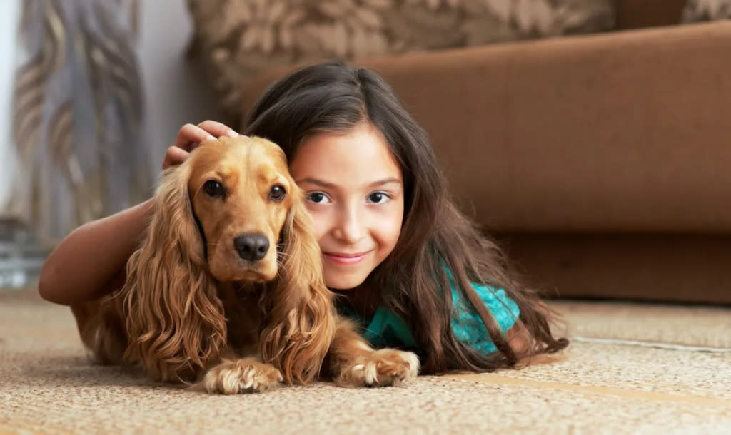 Young girl resting on carpet with Cocker Spaniel — one of the best dogs for kids and children.