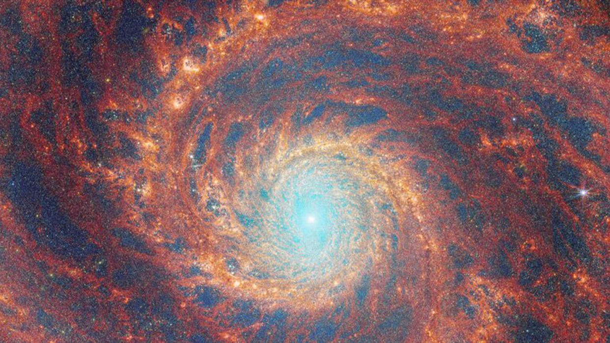  The swirling arms of the grand-design spiral galaxy Whirlpool Galaxy (M51) feature in this new infrared image from the James Webb Space Telescope. 