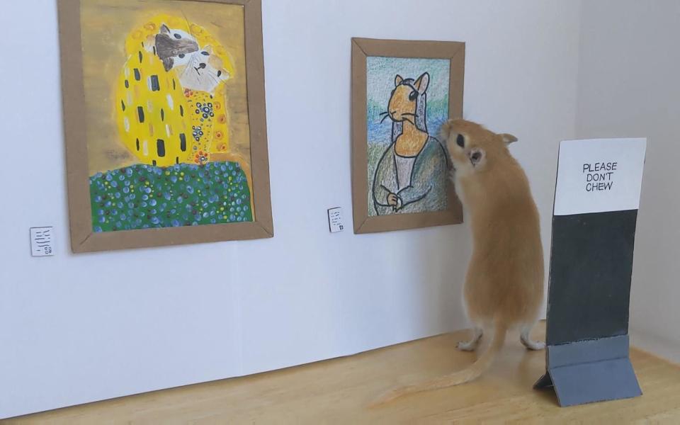 A gerbil looks at a painting in a miniature art gallery