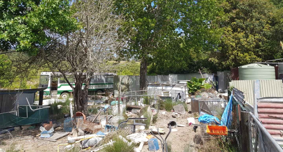 An image of the shelter shot from neighbours Scott and Jessy's yard.