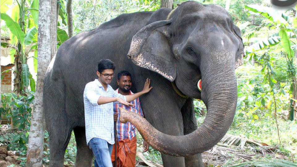 Dakshayani, a female Asian elephant, was believed to be 88 years old. (Photo: Latestly)