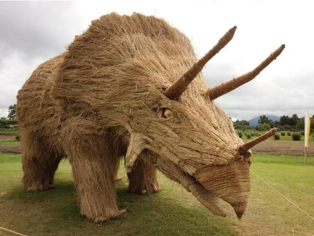 Hay, it’s a triceratops!