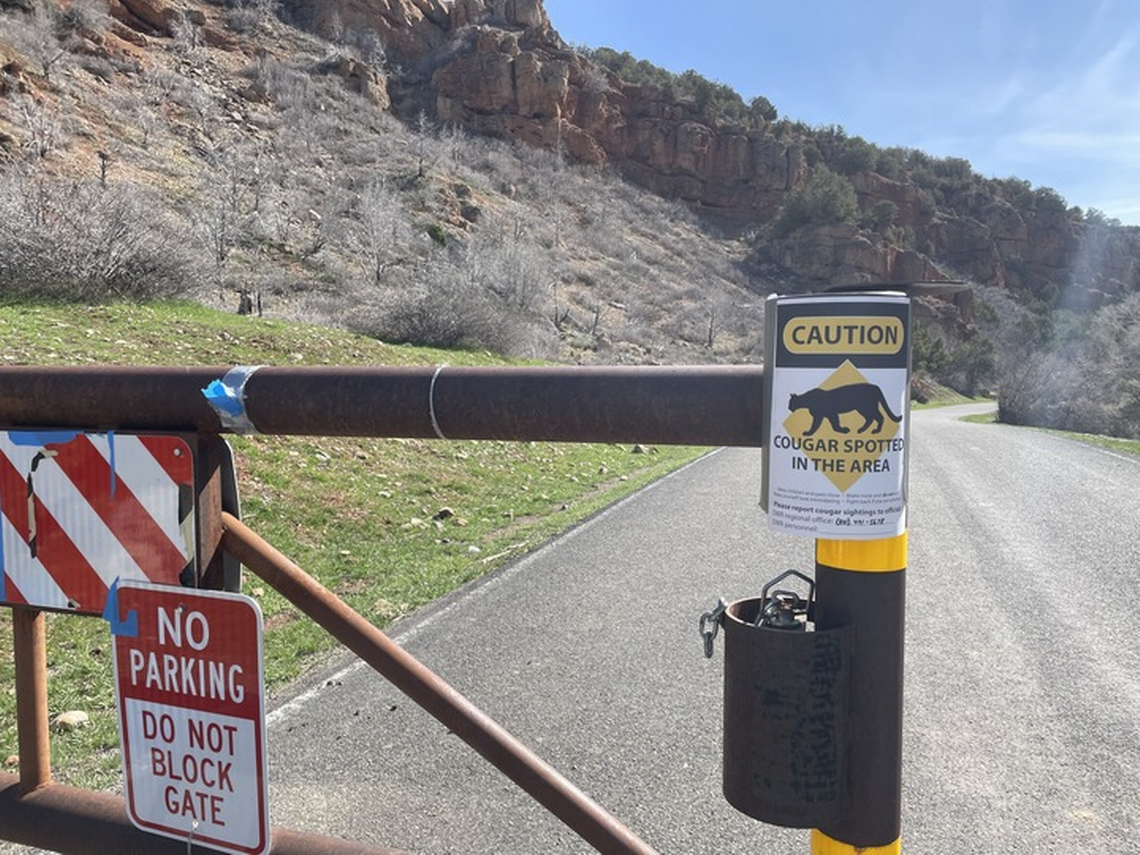 Diamond Fork Canyon remains open, but the public should be cautious when recreating there in light of an April 27 cougar attack. 