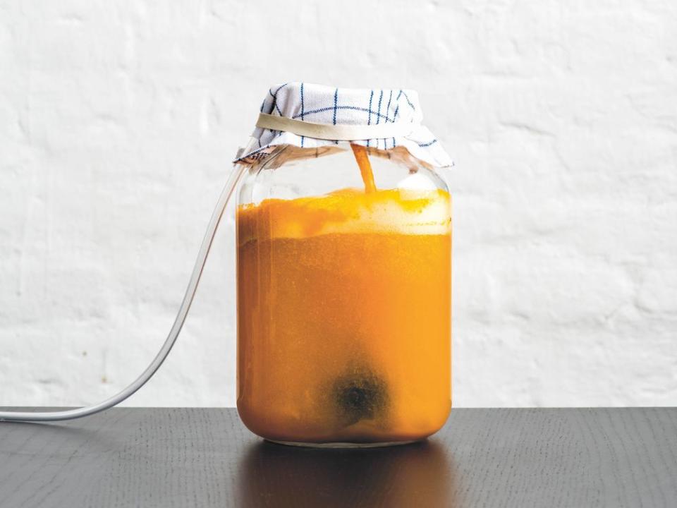 Excerpted from Foundations of Flavor: The Noma Guide to Fermentation by Rene Redzepi and David Zilber (Artisan Books). Copyright © 2018. Photographs by Evan Sung. Illustrations by Paula Troxler.