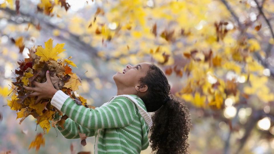 little girl playing in the fall leaves