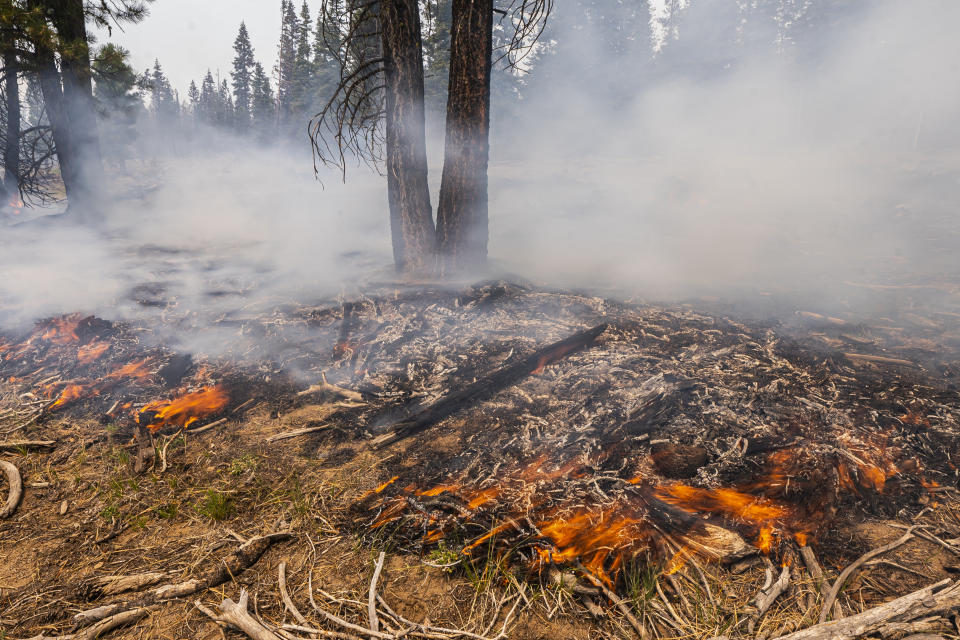 A small brush fires spreads ahead of a containment line near the Northwest edge of the Bootleg Fire on Friday, July 23, 2021, near Paisley, Ore. (AP Photo/Nathan Howard)