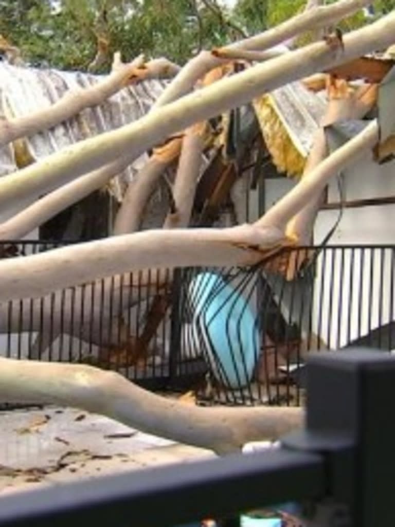 Tree falls on family home in Queensland. Photo: 7News