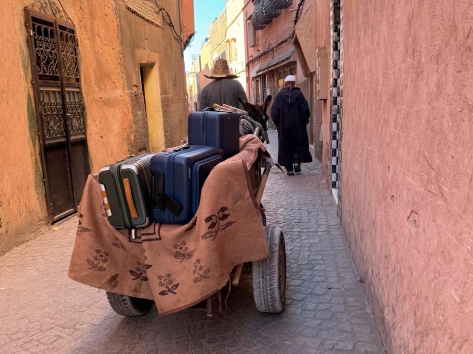 cart with luggage being pulled by a donkey up a hill in Marrakesh morocco