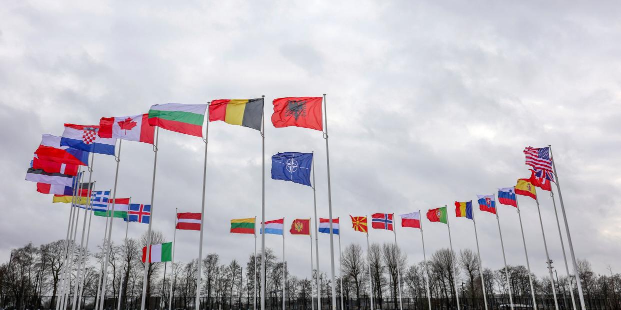 NATO member country flags stand in the wind.