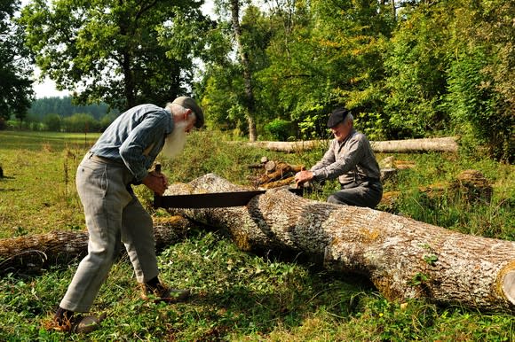 Two men sawing wood