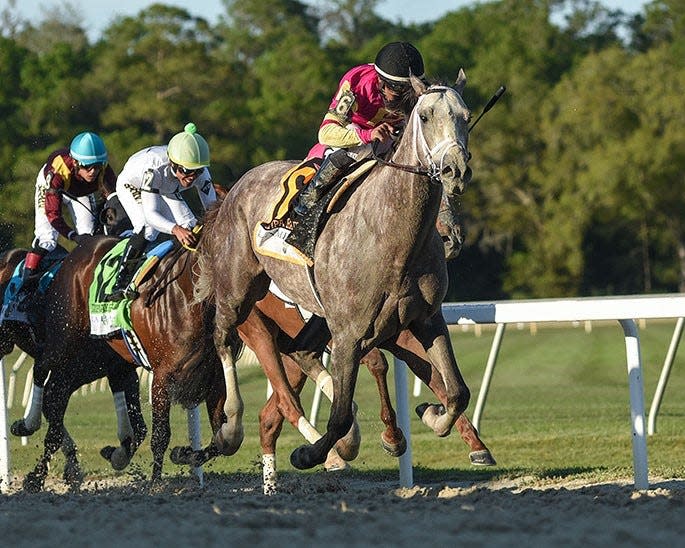 Tapit Trice and jockey Luis Saez win the Tampa Bay Derby on March 11 at Tampa Bay Downs.