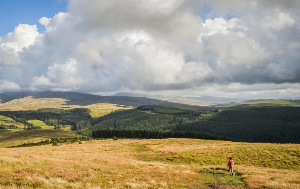 hiker descending Dent hill toward Nannycatch Beck, near Cleator, England, England's Coast to Coast Path.