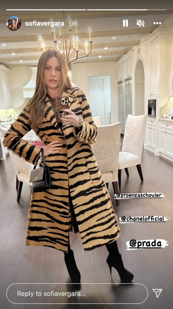 Sofia Vergara poses in a mirror selfie on Instagram Stories. - Credit: Courtesy of Instagram