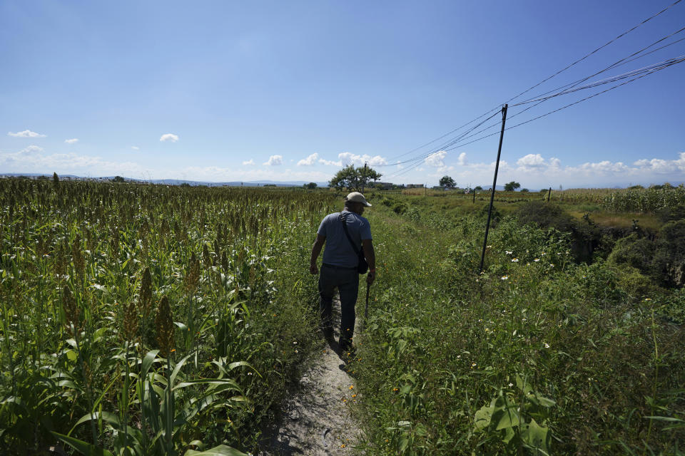 The relative of a missing person inspects an area suspected of holding the bodies of some disappeared persons on the outskirts of Cuautla, Mexico, Tuesday, Oct. 12, 2021. The government's registry of Mexico’s missing has grown more than 20% in the past year and now approaches 100,000. (AP Photo/Fernando Llano)