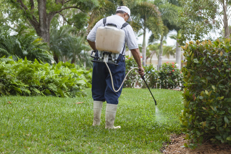 pest control spraying a garden