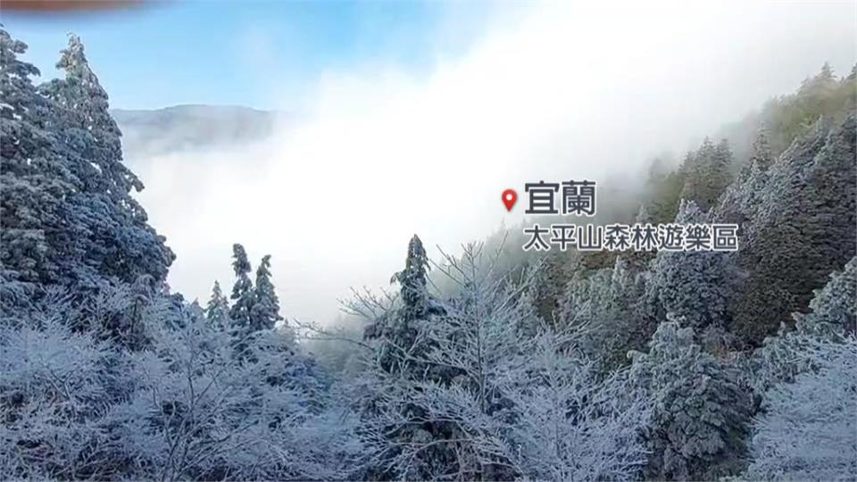 急凍到週日！週一起回暖　太平山霧淞美景吸引民眾搶拍