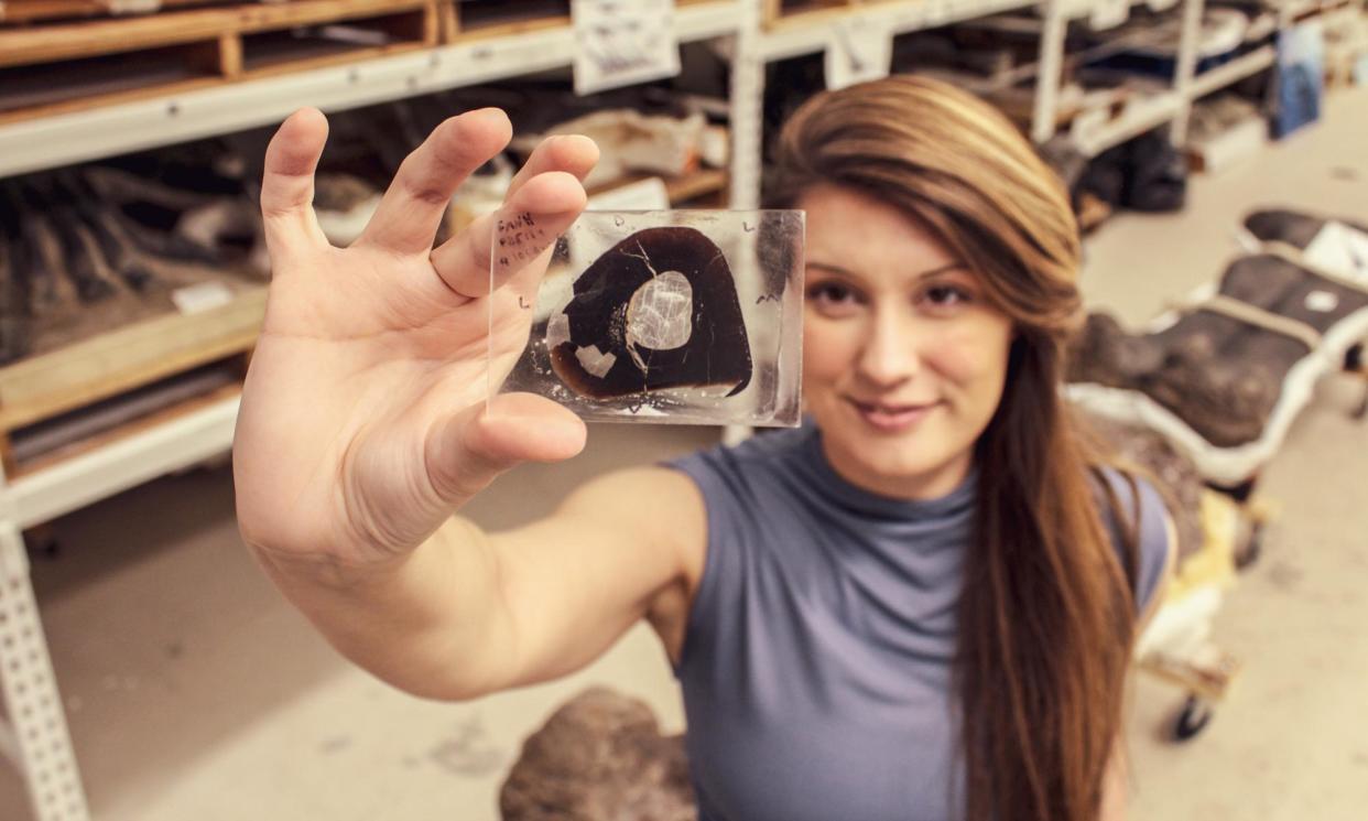 <span>Jasmina Wiemann holds up a fossil of an <em>Allosaurus</em>. This small cross-section of bone can reveal changes over the animal’s life.</span><span>Photograph: Tiffany Cassidy/The Guardian</span>